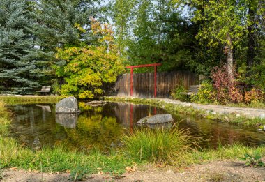 Yampa Nehri Botanik Parkı Steamboat Springs, Colorado.