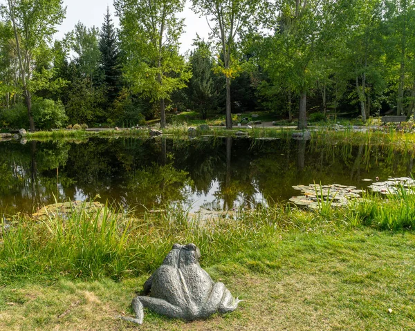 Yampa River Botanic Park Steamboat Springs Colorado — Stockfoto