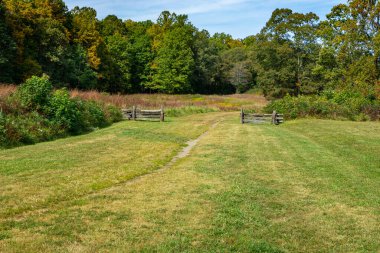 Çayır ve ormanlık alandaki eski ahşap kapılar.
