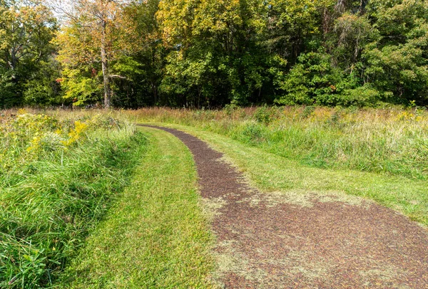 Wood Chip Walking Path Wooded Area — Stock Photo, Image