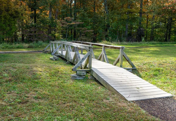 Küçük Tahta Bir Köprü Bir Ormanlık Alanda Küçük Bir Derenin Stok Resim