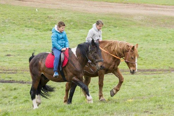 Garçon Fille Cheval Sur Prairie Verte — Photo