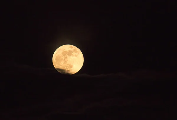 Rare Full Moon Blue Moon Blood Moon Also Supermoon Rising — стоковое фото