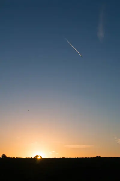 Lever Soleil Travers Les Arbres Avec Traînée Vapeur Plane Contre — Photo