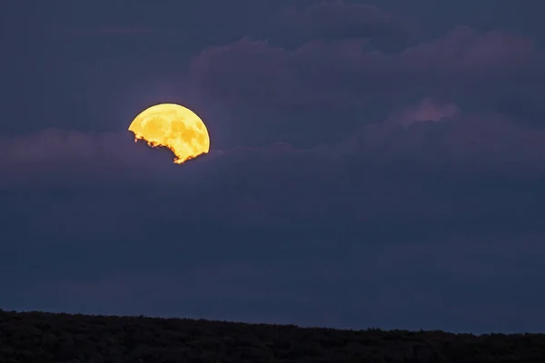 Cosecha Luna Saliendo Detrás Las Nubes Justo Por Encima Del — Foto de Stock