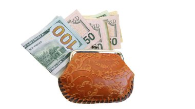 Beyaz arka plan üzerinde çanta dolar banknotlar