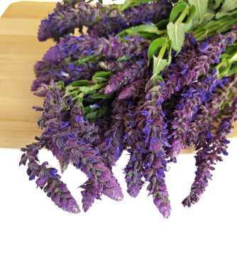 Bir demet adaçayı mor çiçek.