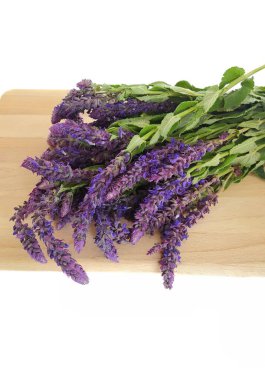 Bir demet adaçayı, mor çiçekler.