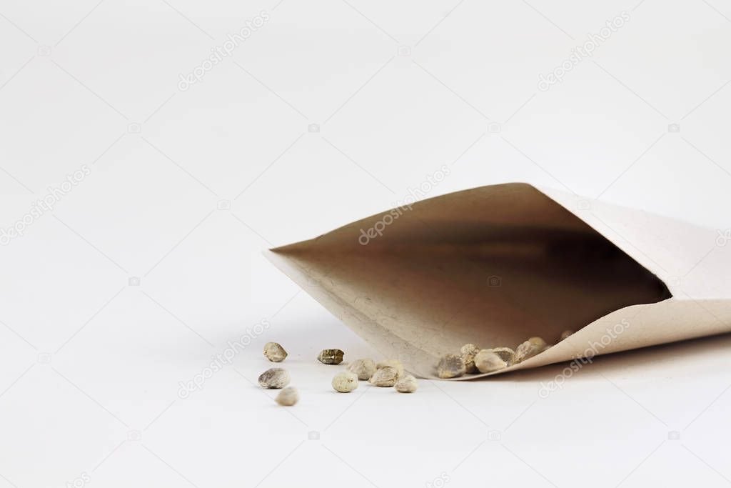 Open packet of spinach seeds with some scattered in front of envelope.  Extreme shallow depth of field with selective focus on seed in front.