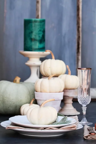 Thanksgiving Day Halloween Couvert Met Heirloom Mini Witte Grijze Pompoenen — Stockfoto
