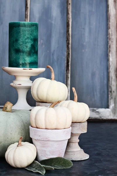 Thanksgiving Day Halloween Herfst Decoraties Met Heirloom Mini Witte Grijze — Stockfoto