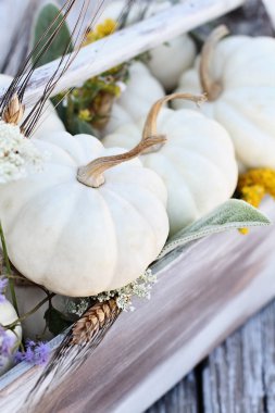 Şükran veya Halloween tablo merkezi adet. Eski ahşap araç kutusu mini beyaz kabaklar, Lamb'in kulakları yaprakları, Golden Rod ve Kraliçe Anne's dantel çiçek dolu.