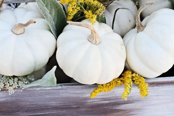 Vecchia Cassetta Degli Attrezzi Legno Piena Mini Zucche Bianche Foglie — Foto Stock