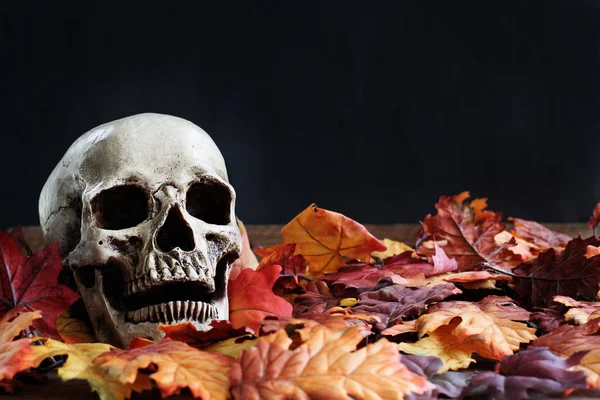 Calavera Humana Halloween Acostada Hojas Otoño Con Espacio Copia Gratuito — Foto de Stock