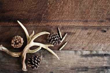 Gerçek beyaz kuyruk geyik boynuzları avcılar tarafından av çam kozalakları ve.308 tüfek mermileri ile rustik ahşap bir masa üzerinde diğer büyük paralar sarsmaya kullanılır. Metin için boş alan.