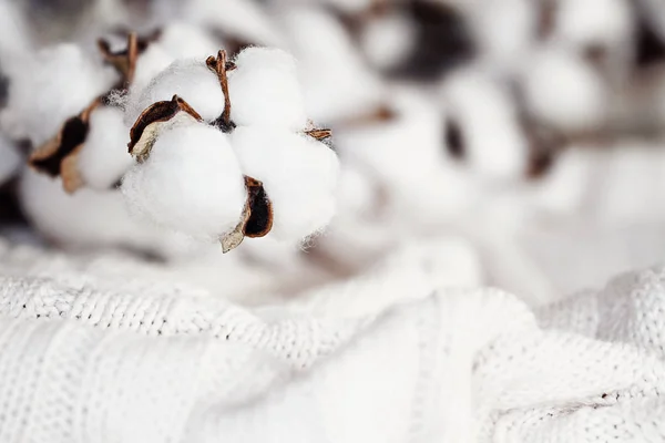 Flores Algodão Deitado Cima Cobertor Malha Profundidade Campo Extremamente Rasa — Fotografia de Stock