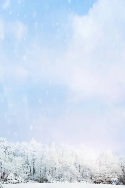 Сніг Яко Падає Розмитий Фон Зимового Пейзажу Снігових Покритих Дерев — стокове фото