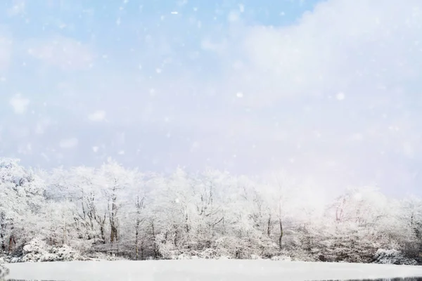 Fondo Borroso Nieve Cayendo Suavemente Contra Paisaje Invernal Árboles Cubiertos —  Fotos de Stock