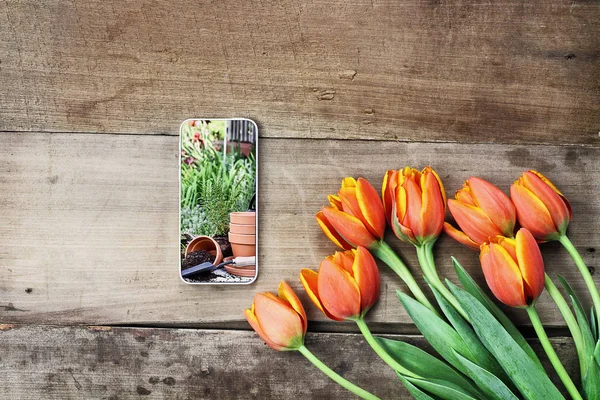 Prvních Záběrů Mobilního Telefonu Zahradní Scény Kytice Oranžových Žlutých Tulipánů — Stock fotografie