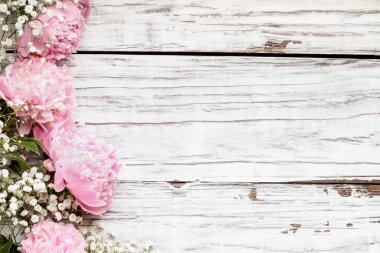 Pembe Şakayık ve Bebekler Nefes Çiçekler beyaz ahşap backgrou üzerinde