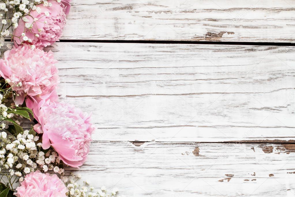 Pink Peonies and Babys Breath Flowers over a White Wood Backgrou