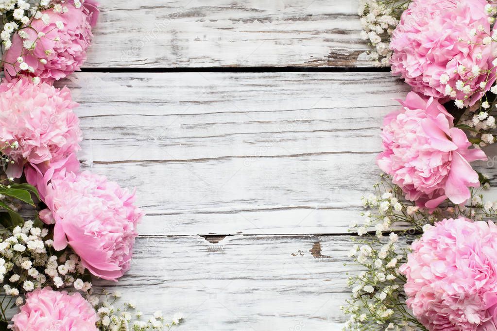 Pink Peonies and Babys Breath Flowers over a White Wooden Backgr