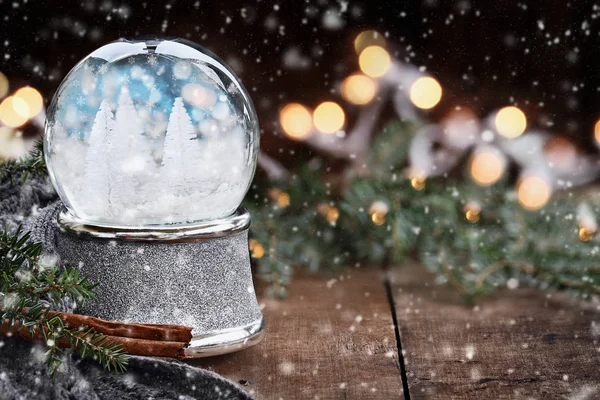 Silver Snow Globe med vita julgranar — Stockfoto
