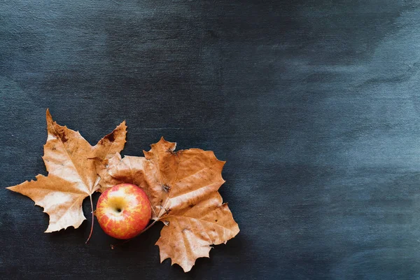 Roter Apfel Und Getrocknete Orangefarbene Herbstblätter Vor Schwarzem Ombre Holz — Stockfoto
