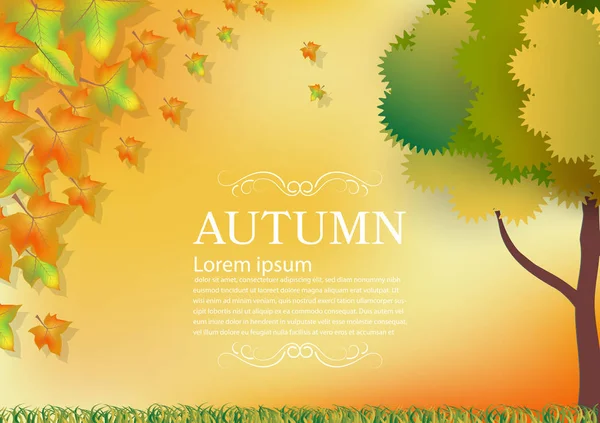 Herbst Blätter Abstrakten Hintergrund — Stockfoto