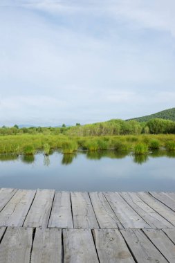 Göl ve orman ahşap zemin bakış açısı