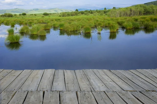 Wood Floor Perspective Lake Forest — Stock Photo, Image