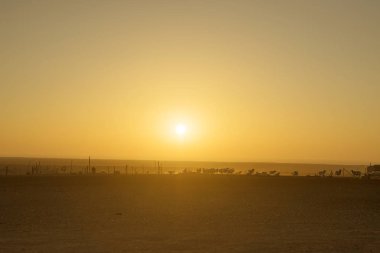 gün batımında çiftlik manzarası ve gün batımında güzel gökyüzü.
