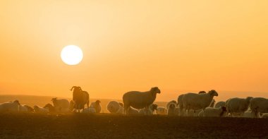 gün batımında çiftlik manzarası ve gün batımında güzel gökyüzü.