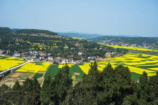 Il paesaggio rurale è in primavera — Foto Stock