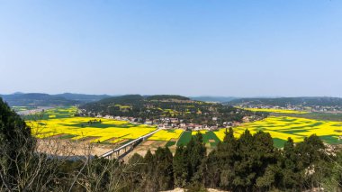 Tecavüz çiçek alanları ve kırsal manzaralar