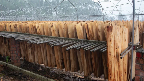 Drying wood slices in a wood factory