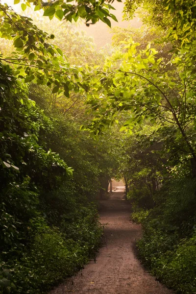 A country road in the woods, in the early morning.Qionglai count — Stock Photo, Image