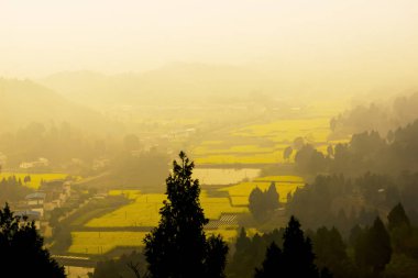 Isledilen yağmurdan sonra tarlalar ve kırsal alanlar