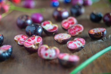 Lezzetli yabanmersinleri yakın plan.