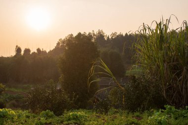Güneybatı Çin 'deki kırsal manzara