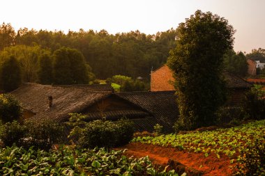 Güneybatı Çin 'deki kırsal manzara