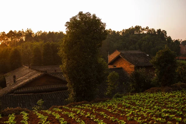 Paesaggio Rurale Nel Sud Ovest Della Cina — Foto Stock