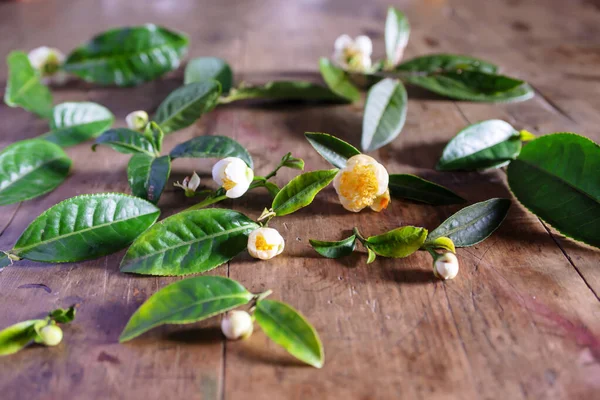 茶叶和茶花在桌上的特写 — 图库照片