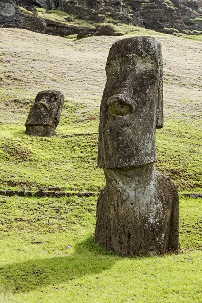 Moai Parque Nacional Rapa Nui Nas Encostas Vulcão Rano Raruku — Fotografia de Stock