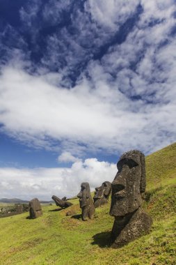 Rapa Nui Milli Parkı