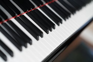 Piyano müzik aleti klavye portre