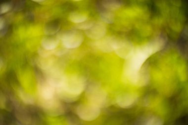 Soyut bulanık bokeh arka plan dokusu