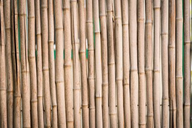 Bambu stick çit arka plan closeup