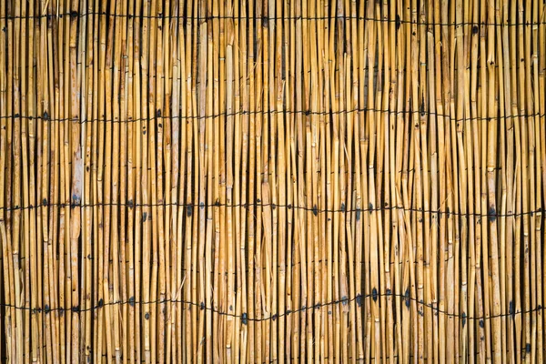 Doğal bambu çit arka plan dokusu
