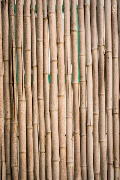 Natural Bamboo Fence Background Pattern — Stock Photo, Image